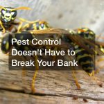 Pest Control Doesn’t Have to Break Your Bank