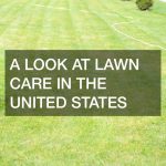 A Look At Lawn Care In The United States