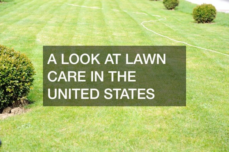 A Look At Lawn Care In The United States