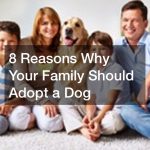 8 Reasons Why Your Family Should Adopt a Dog