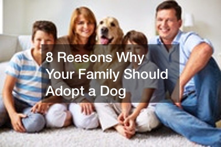 8 Reasons Why Your Family Should Adopt a Dog