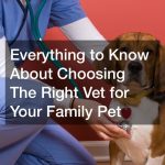 Everything to Know About Choosing The Right Vet for Your Family Pet