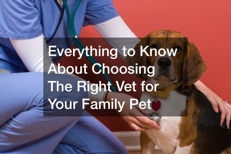 Everything to Know About Choosing The Right Vet for Your Family Pet