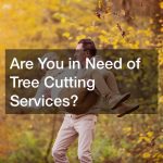 Are You in Need of Tree Cutting Services?