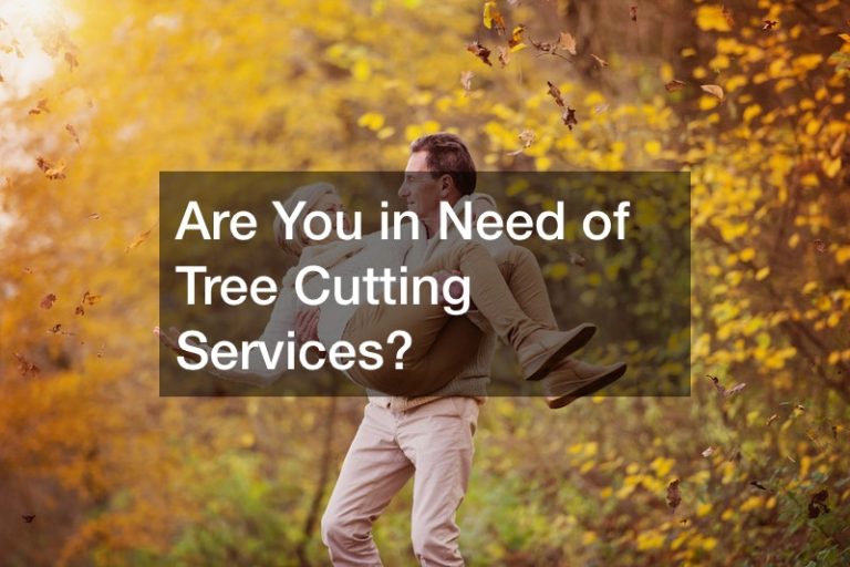 Are You in Need of Tree Cutting Services?