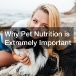 Why Pet Nutrition is Extremely Important