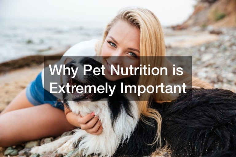 Why Pet Nutrition is Extremely Important