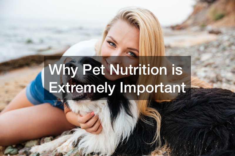 Why Pet Nutrition is Extremely Important