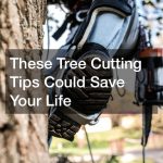 These Tree Cutting Tips Could Save Your Life