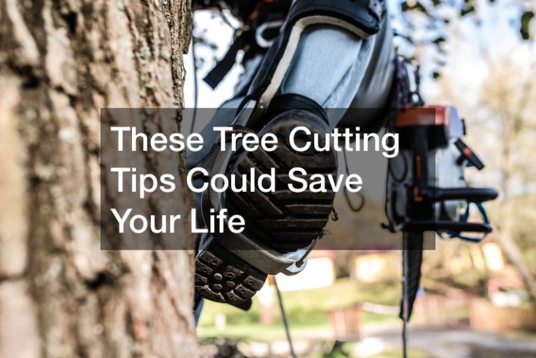 These Tree Cutting Tips Could Save Your Life