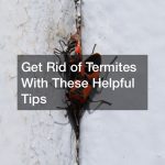 Get Rid of Termites With These Helpful Tips