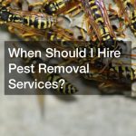 When Should I Hire Pest Removal Services?