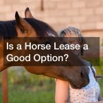 Is a Horse Lease a Good Option?