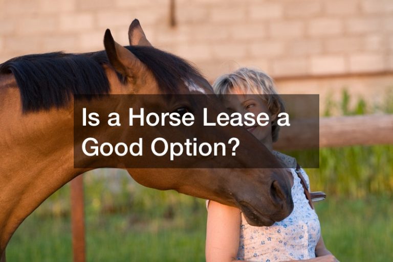 Is a Horse Lease a Good Option?