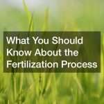 What You Should Know About the Fertilization Process
