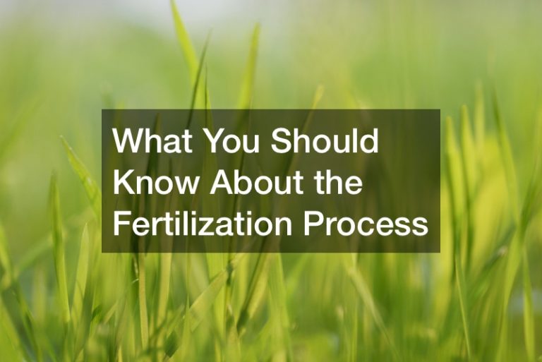 What You Should Know About the Fertilization Process