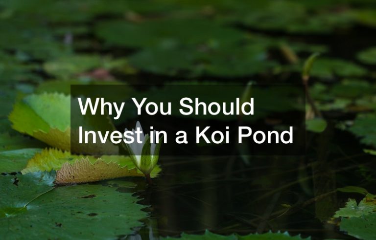 Why You Should Invest in a Koi Pond