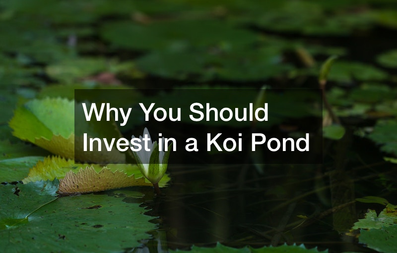 Why You Should Invest in a Koi Pond