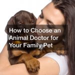 How to Choose an Animal Doctor for Your Family Pet