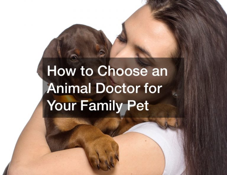 How to Choose an Animal Doctor for Your Family Pet