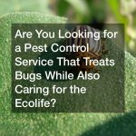 Are You Looking for a Pest Control Service That Treats Bugs While Also Caring for the Ecolife?
