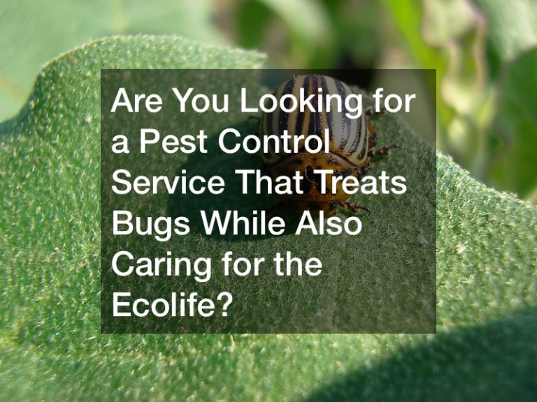 Are You Looking for a Pest Control Service That Treats Bugs While Also Caring for the Ecolife?