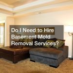 Do I Need to Hire Basement Mold Removal Services?