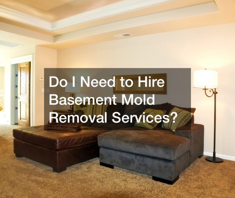 Do I Need to Hire Basement Mold Removal Services?