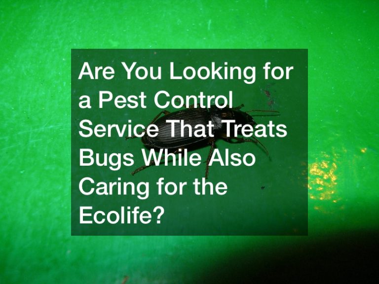 Are You Looking for a Pest Control Service That Treats Bugs While Also Caring for the Ecolife?