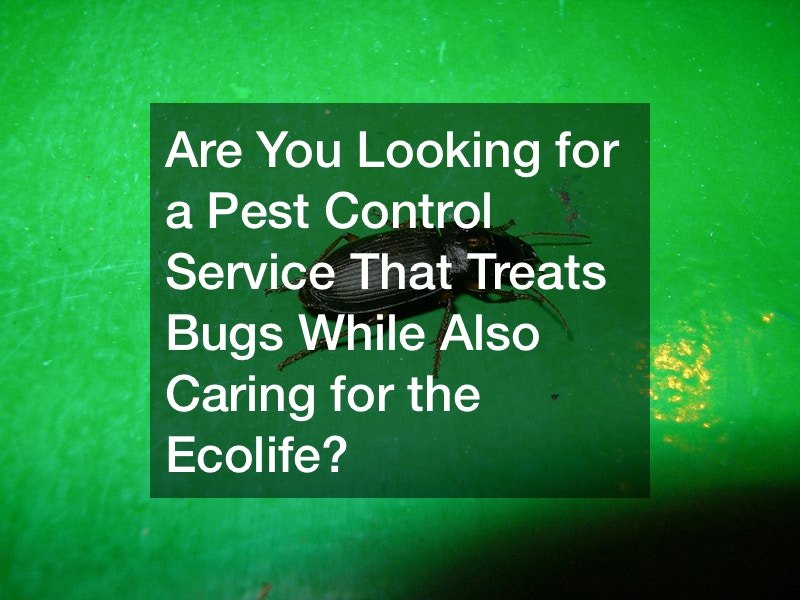 Are You Looking for a Pest Control Service That Treats Bugs While Also Caring for the Ecolife?