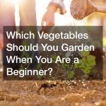 Which Vegetables Should You Garden When You Are a Beginner?
