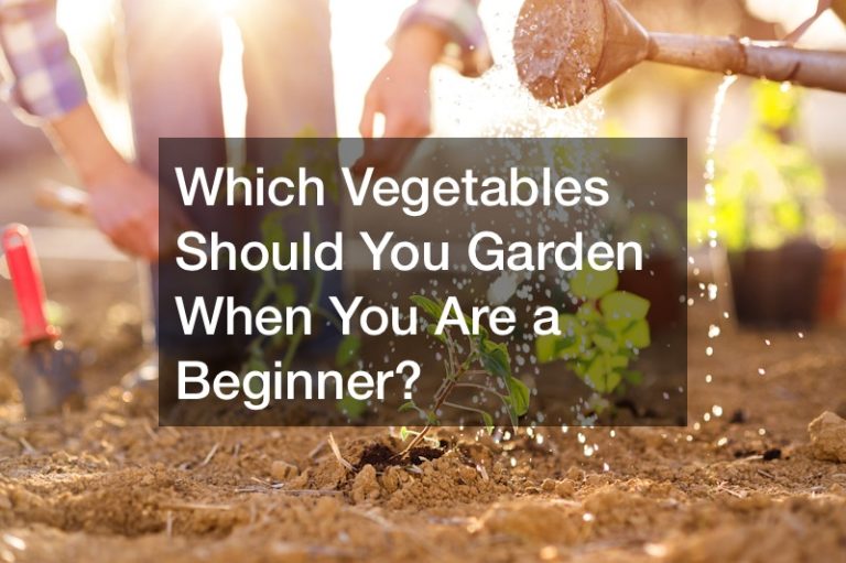 Which Vegetables Should You Garden When You Are a Beginner?