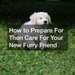 How to Prepare For Then Care For Your New Furry Friend