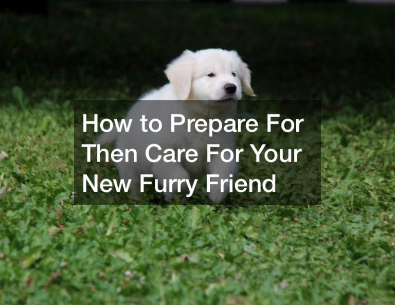 How to Prepare For Then Care For Your New Furry Friend