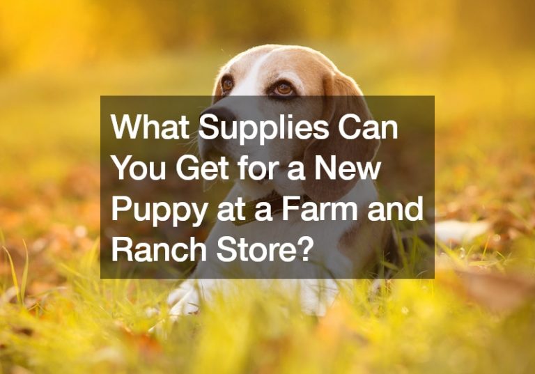 What Supplies Can You Get for a New Puppy at a Farm and Ranch Store?