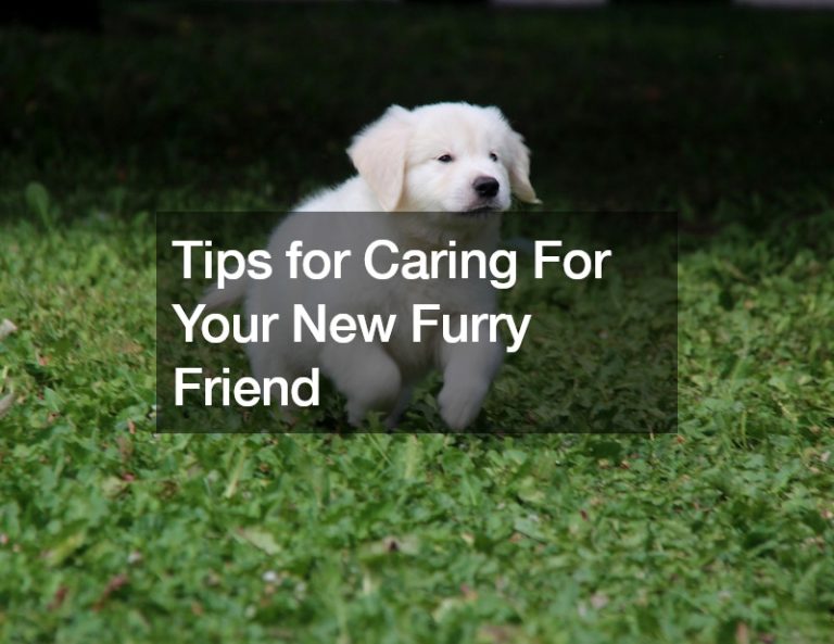 Tips for Caring For Your New Furry Friend