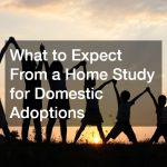 What to Expect From a Home Study for Domestic Adoptions