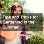 Tips and Tricks for Gardening in the Summer
