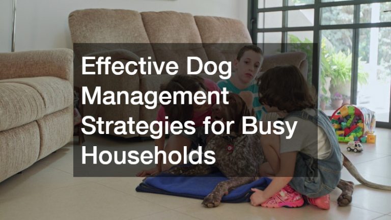 Effective Dog Management Strategies for Busy Households