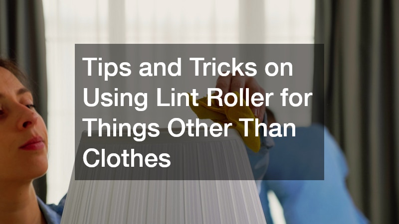 Tips and Tricks on Using Lint Roller for Things Other Than Clothes