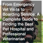 From Emergency Vet Visits to Boarding Service  A Complete Guide to Finding the Best Pet Hospital and Professional Veterinarian